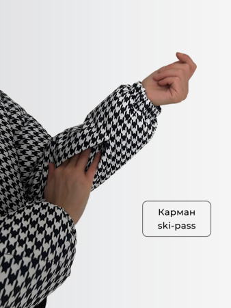 Демисезонный женский горнолыжный комбинезон Гусиная лапка